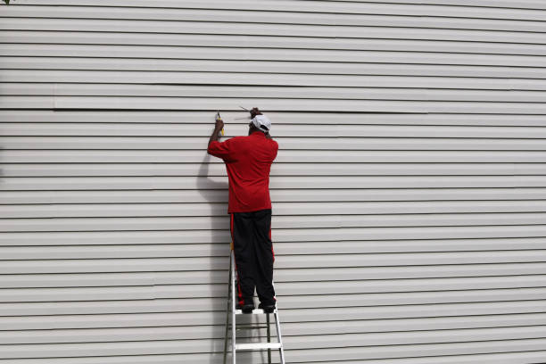 Best Residential Vinyl Siding Installation  in Dora, AL